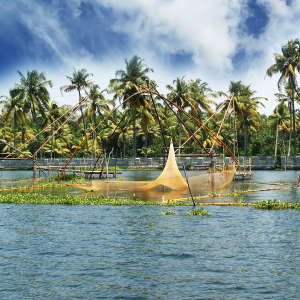 Chinese fishing nets on Lake Vembanad