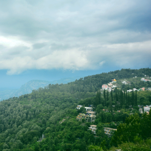 Yercaud – explore the coffee estates and cave temple