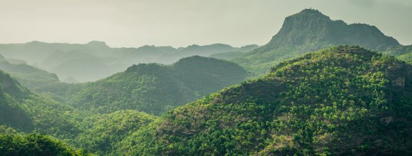 Pachmarhi: Rain-washed Rapture