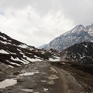 Majestic Tawang 