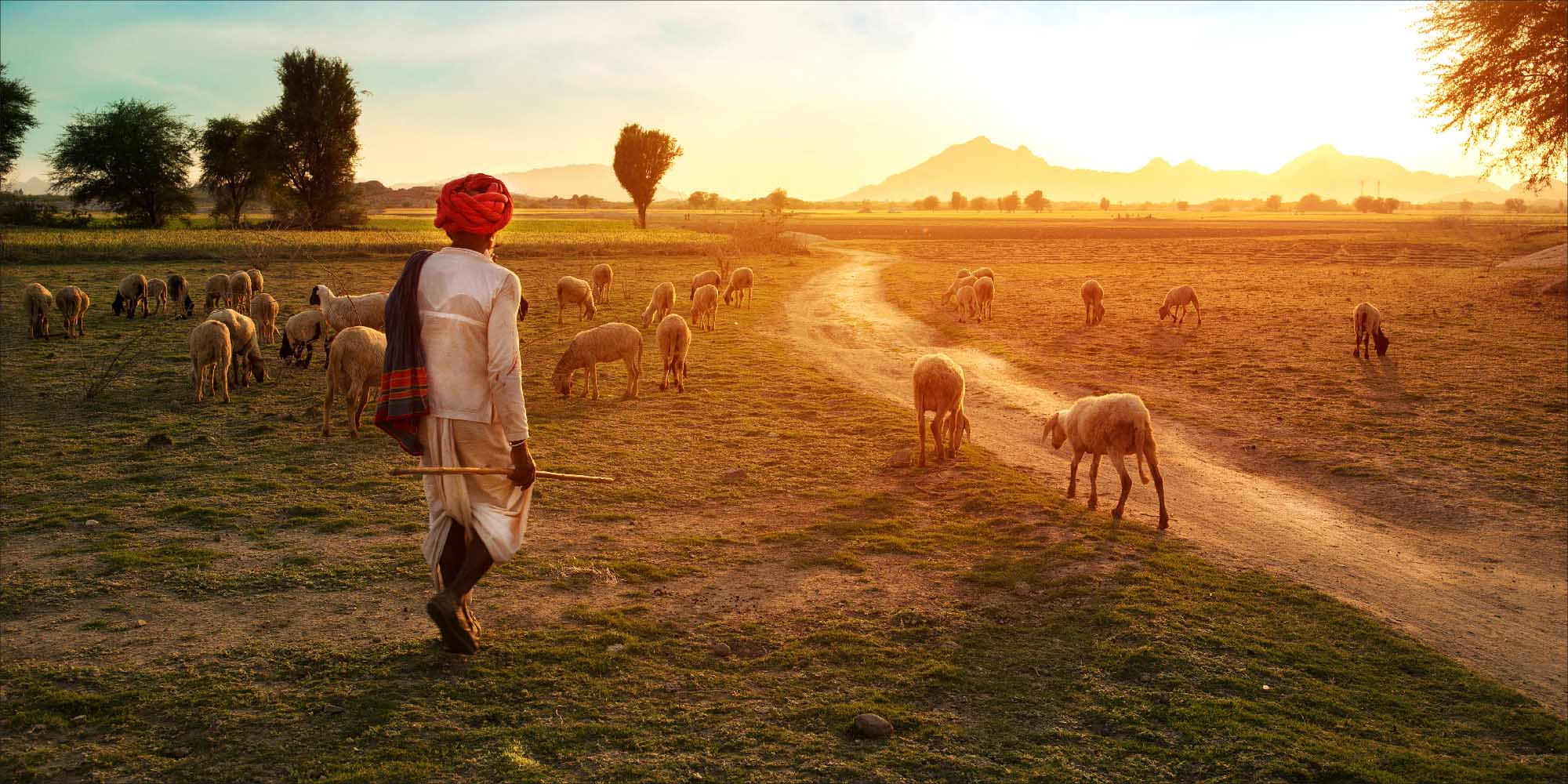 Rural Rajasthan